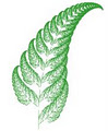 Cole`s Landscaping logo